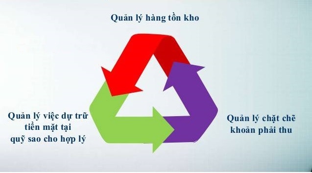 Vòng Quay Vốn Lưu Động Là Gì? Cách Áp Dụng Hiệu Quả Trong Kinh Doanh 2024